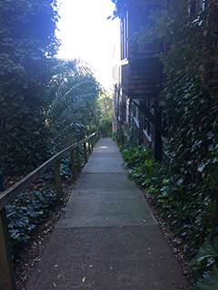 El Monte Lane Sausalito